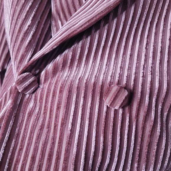 Nasty Gal Collection Relaxed Velvet Striped Blazer Size 10 - Picture 11 of 16